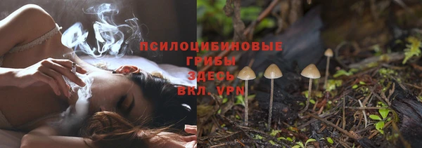 бутират Вяземский