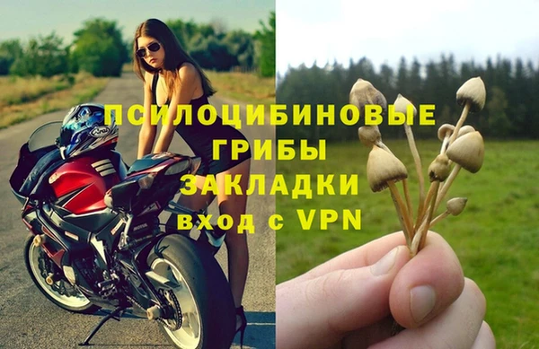 бутират Вяземский
